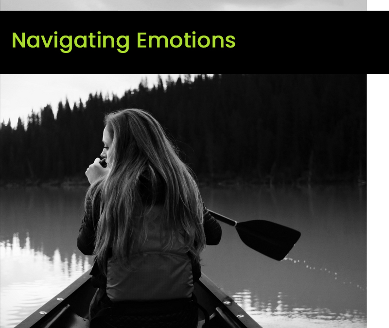 Navigating Emotions